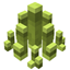 Bamboo Spikes - pandorical logo