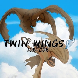 TWIN WINGS IOB logo