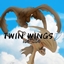 TWIN WINGS IOB logo