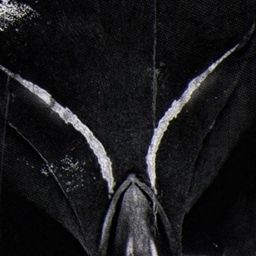 BAHIANO UI project image