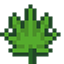 Hemp Craft - pandorical logo