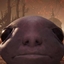 LE Wait for rez logo