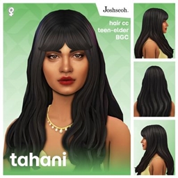 Tahani Hair (Update Sept 2026) project image