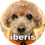IberisGearSet logo
