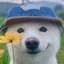 TakeMyVanilla logo