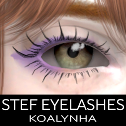 Stef 3D Eyelashes project image