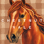 Chestnut Vale logo