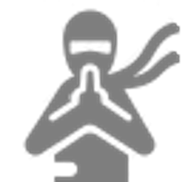 Way Of The Ninja