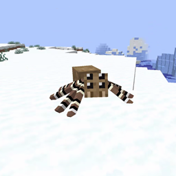 Ku's Spiders