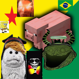 Acre pig project image