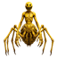 Spider Verity logo