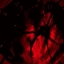 Dread Evolution logo
