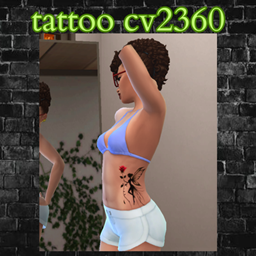 tattoo cv2360 project image