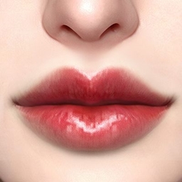 Kaleido_Lip_N09_HQ logo