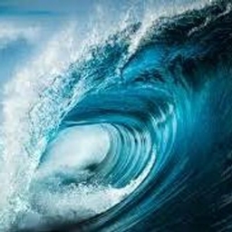 Natural Disasters: Tsunami & Earthquake