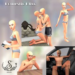 Domestic Bliss project image