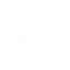 VantaWolfe's Structures+ logo