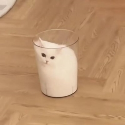 Kosyt 2