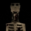 The boy in the bath logo
