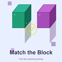 Match the Block project image