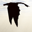 Dawn of Dragons logo