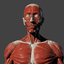 Anatomie Mann HORROR logo