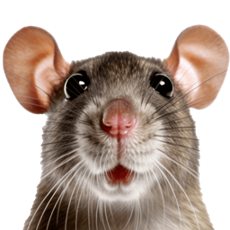 Silverfish To Rats project image
