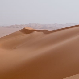 DuneScape