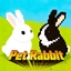 bbyj's Pet Bunny logo
