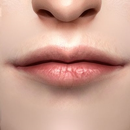 Kaleido_Lip_N11_HQ logo