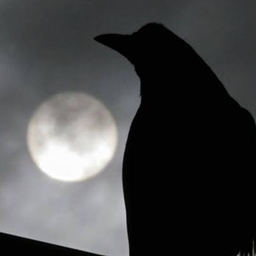 The Morrigan
