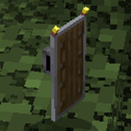 Shield+Torch