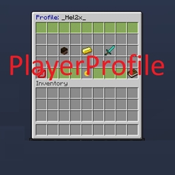 PlayerProfile