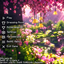 Cherry Blossom UI PACK logo