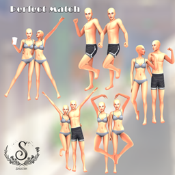 Perfect Match  project image
