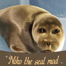 Niko the seal