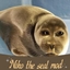 Niko the seal logo