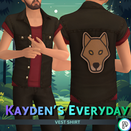 Kaydens Everyday Outfit - Vest project image