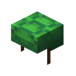 Actual Turtle Helmet project image