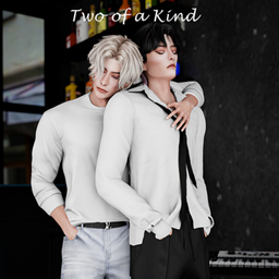 Two of a Kind project image