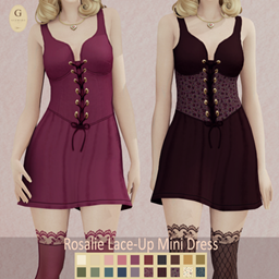 Rosalie Lace Up Mini Dress project image