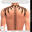 Tribal V5 Tattoo Male logo