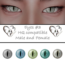 Eyes 03 project image