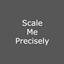 Scale Me Precisely logo