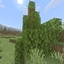Gravity blocks logo