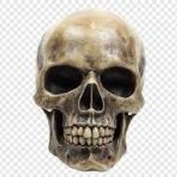 HC Target Warn project image