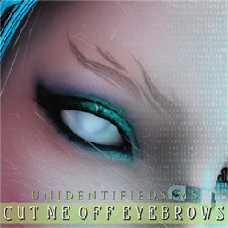 Cut Me Off Eyebrows project image