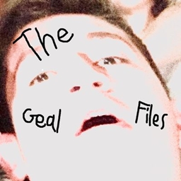 Geal Files