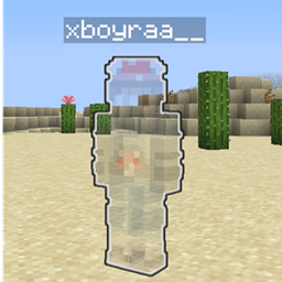 See Invisible Player logo
