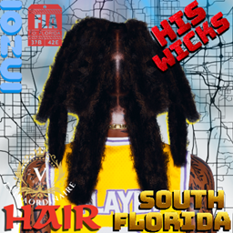 HIS WICKS HAIR - VEXSIMS2000 project image